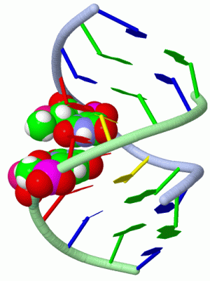 Image Asym./Biol. Unit - manually