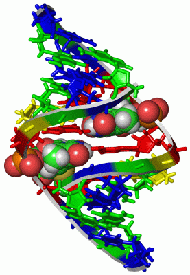 Image Asym./Biol. Unit - manually