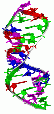 Image Asym./Biol. Unit - manually