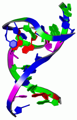 Image NMR Structure - manually