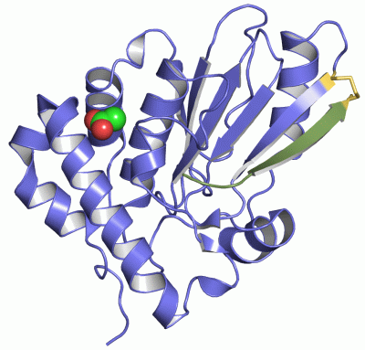 Image Asym./Biol. Unit - manually