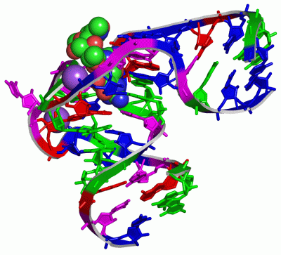 Image Asym./Biol. Unit - manually