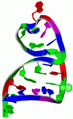 Image NMR Structure - manually