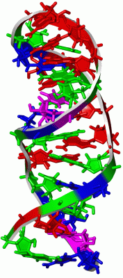 Image NMR Structure - manually