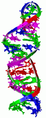 Image NMR Structure - manually