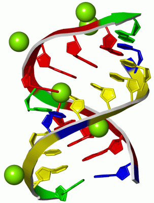 Image Asym./Biol. Unit - manually