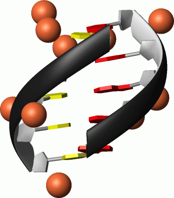 Image Asym./Biol. Unit - manually