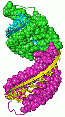 Image Asym./Biol. Unit - manually