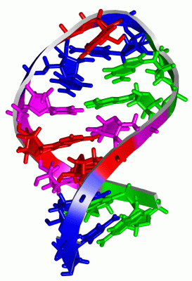 Image NMR Structure - manually