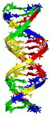 Image NMR Structure - manually