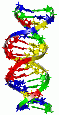 Image NMR Structure - manually