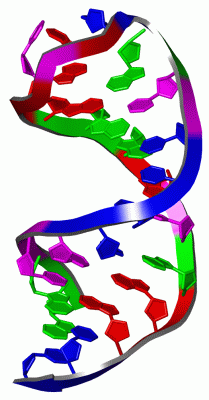 Image NMR Structure - manually