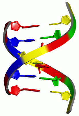 Image NMR Structure - manually