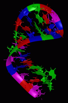 Image NMR Structure - manually