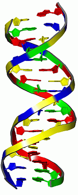 Image NMR Structure - manually