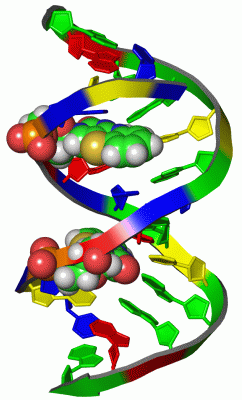 Image Biol.Unit 1 - manually