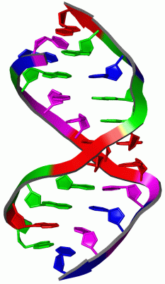 Image NMR Structure - manually