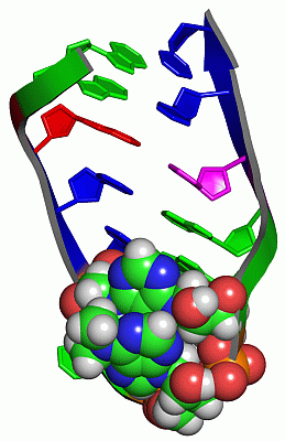 Image NMR Structure - manually