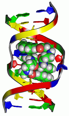 Image NMR Structure - manually