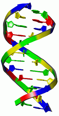 Image NMR Structure - manually