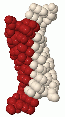 Image Biol.Unit 1 - manually