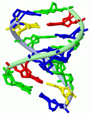 Image Asym./Biol. Unit - manually