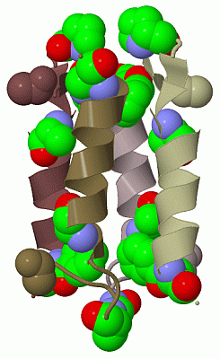 Image Biol.Unit 1 - manually