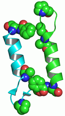 Image Asym.Unit - manually