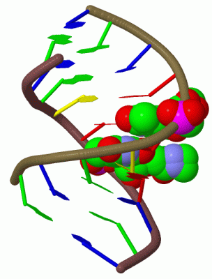 Image Biol.Unit 1 - manually