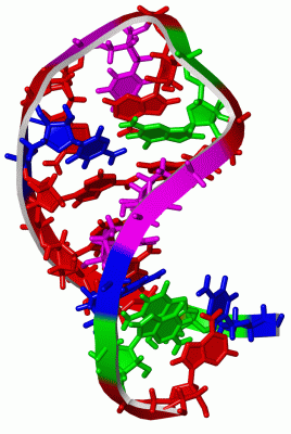 Image NMR Structure - manually