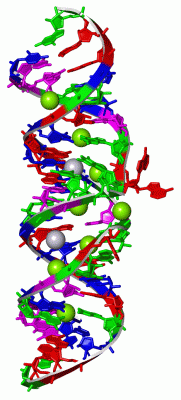 Image Asym.Unit - manually