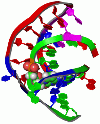 Image NMR Structure - manually