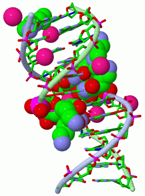 Image Asym./Biol. Unit - manually