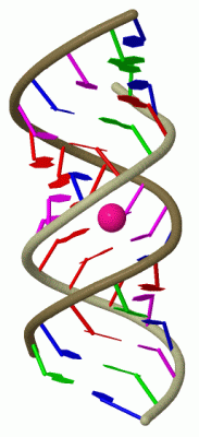 Image Biol.Unit 1 - manually