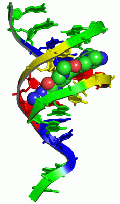 Image Asym./Biol. Unit - manually