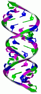 Image Biol.Unit 1 - manually