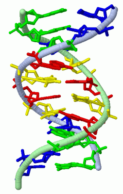 Image Asym./Biol. Unit - manually