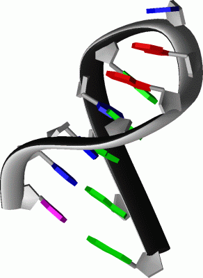 Image NMR Structure - manually