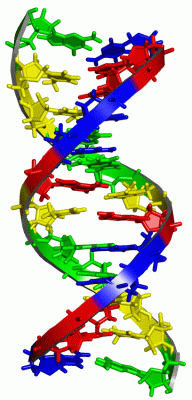 Image NMR Structure - manually