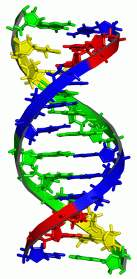 Image NMR Structure - manually