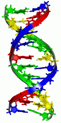 Image NMR Structure - manually