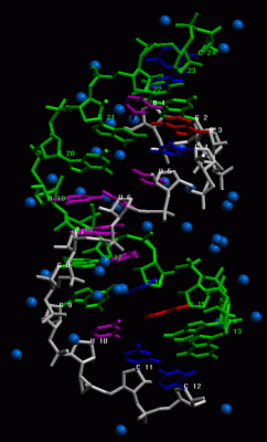 Image Asym./Biol. Unit - manually