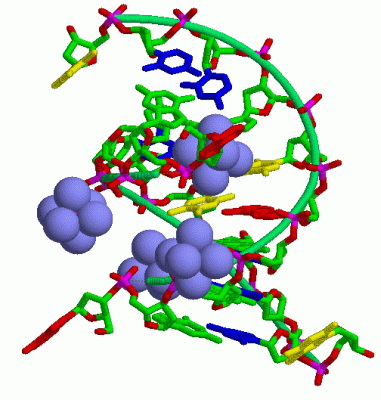 Image Biol.Unit 1 - manually