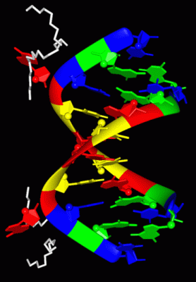 Image Biol.Unit 1 - manually