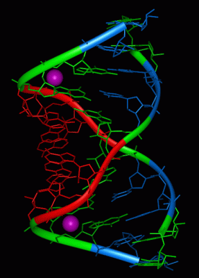 Image Biol.Unit 1 - manually