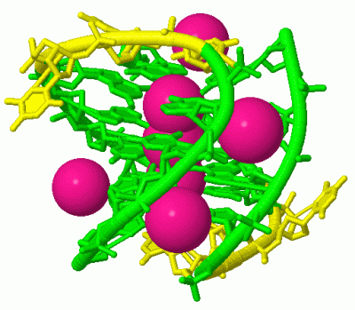 Image Biol.Unit 1 - manually