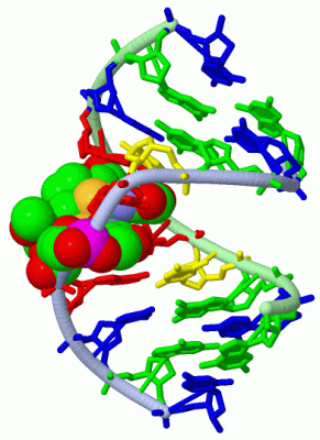 Image Asym./Biol. Unit - manually