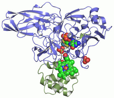 Image Asym./Biol. Unit - manually