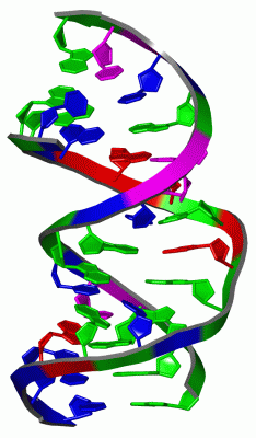 Image NMR Structure - manually