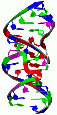 Image NMR Structure - manually